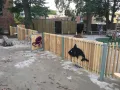 Bløbba