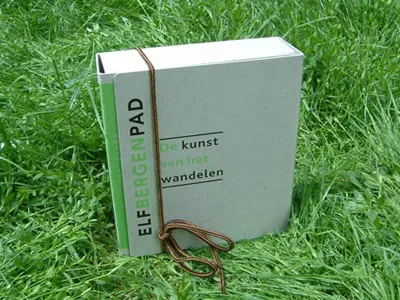 publicatie
